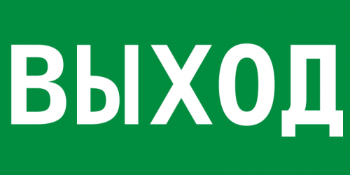 WOLTA PRO Самоклеящаяся этикетка "ВЫХОД" 300x100мм