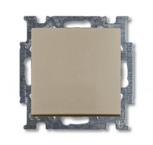 ABB BJB Basic 55  Шамп Переключатель 2-х клавишный