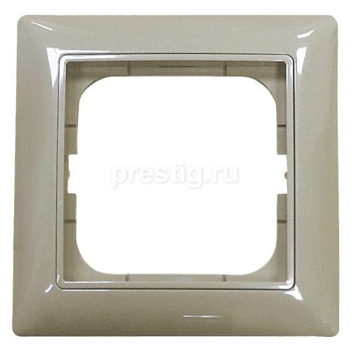ABB BJB Basic 55  Шамп Рамка 1-ая