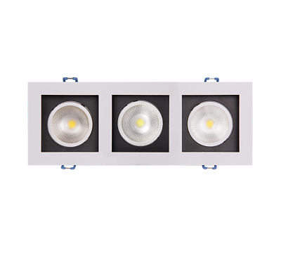 Светильник Карданный PSP-S 213  3x8W 4000K 55° White IP40 Jazzway
