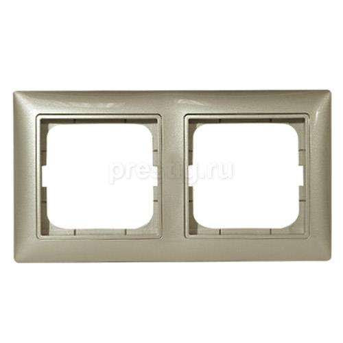 ABB BJB Basic 55  Шамп Рамка 2-ая